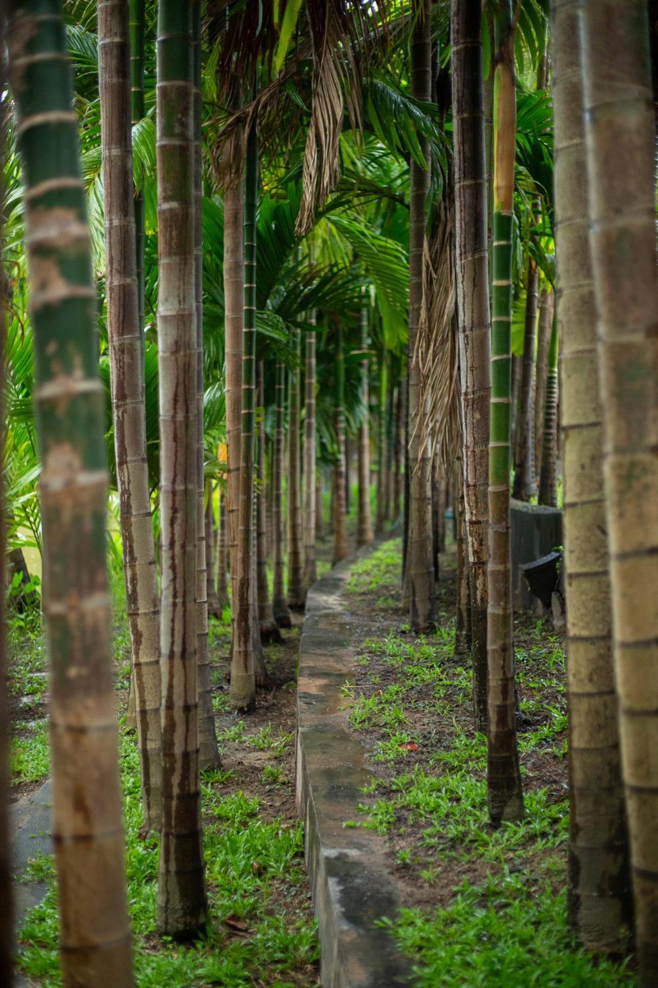 Phanumas Resort Chiang Mai Bagian luar foto