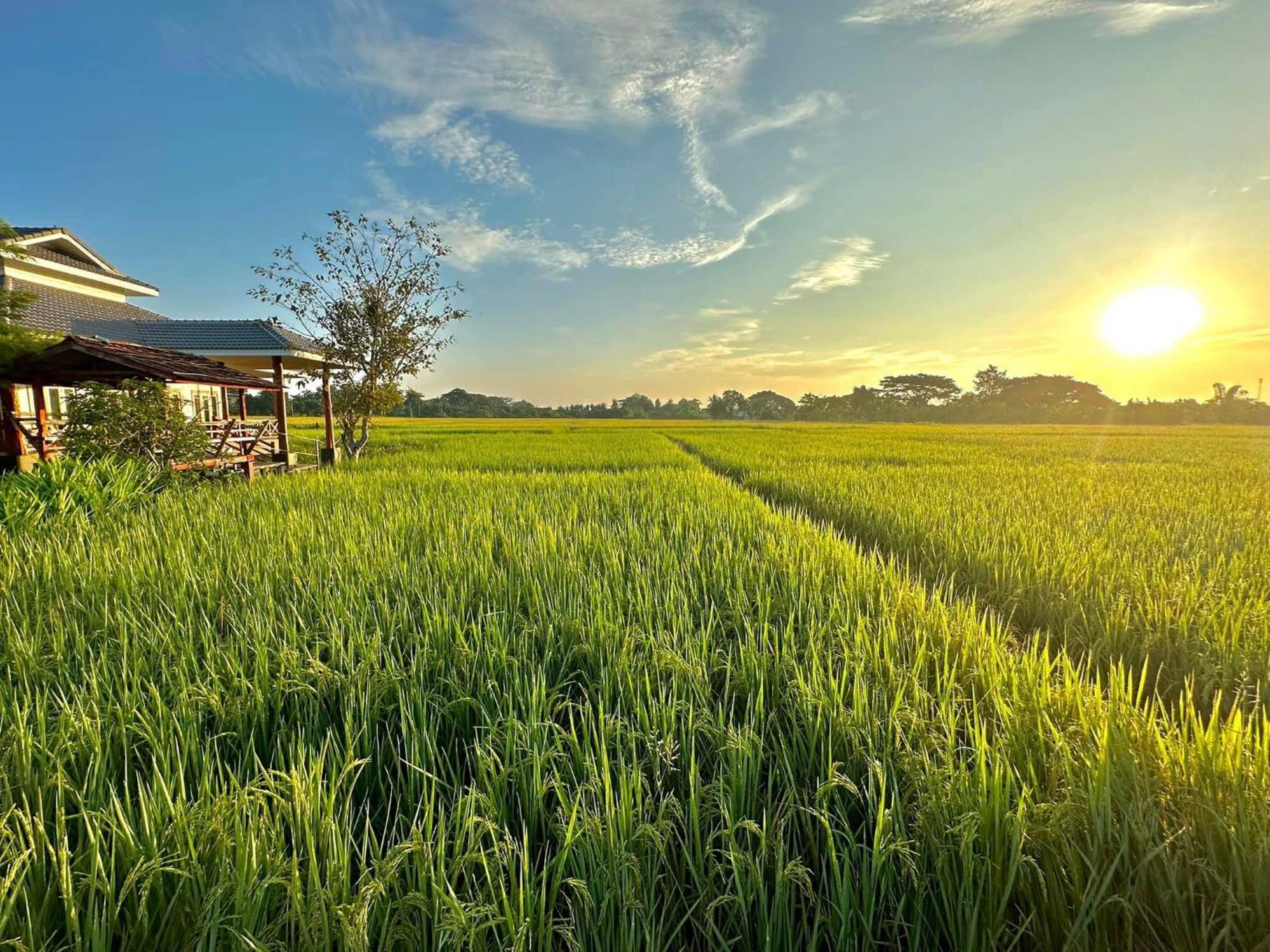 Phanumas Resort Chiang Mai Bagian luar foto